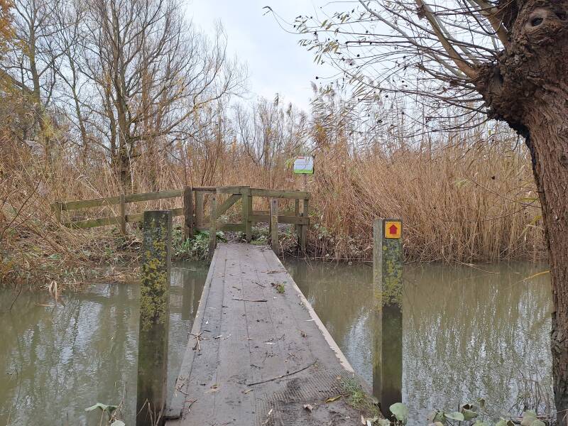 Stormpoldervloedbos - Krimpen aan den IJssel