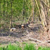 DSC_8862.jpg