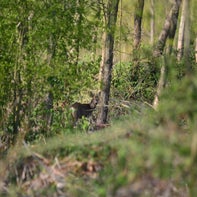 DSC_8847-1.jpg