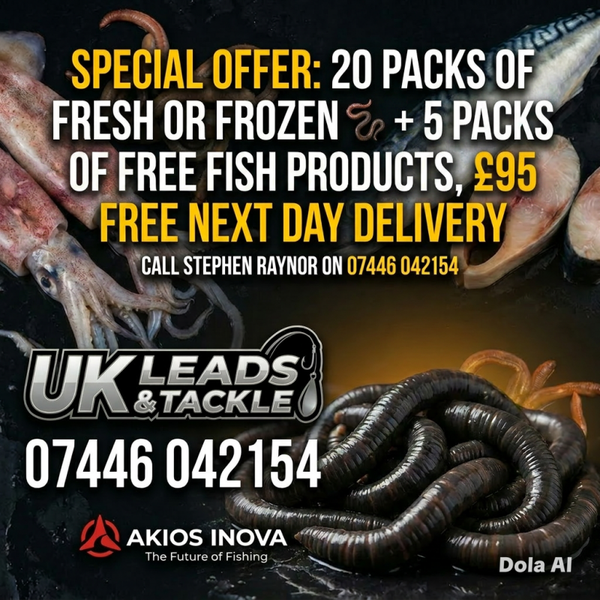 20 pks of frozen Fleetwood blacks worms 🪱
