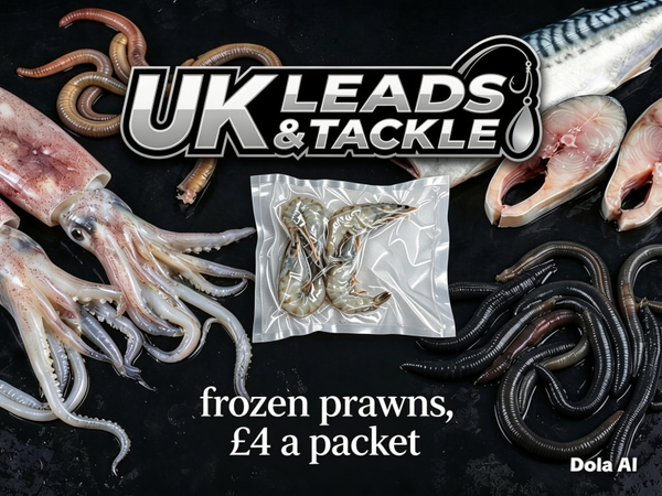 Frozen jumbo Prawns