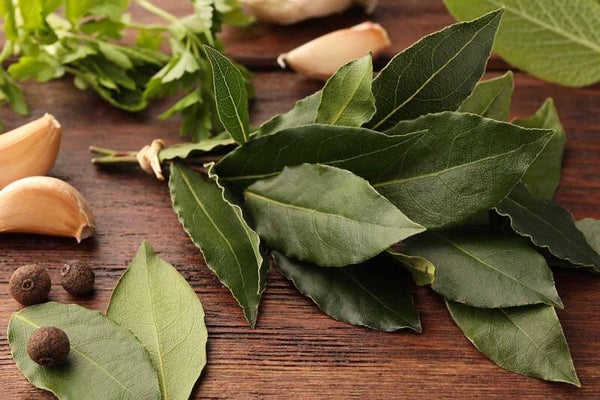 Bay leaves