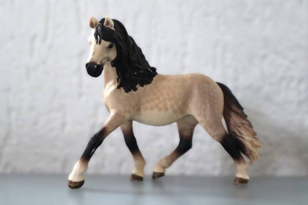 Andalusier merrie 13821