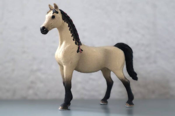 Arabier merrie uit stalset 42369