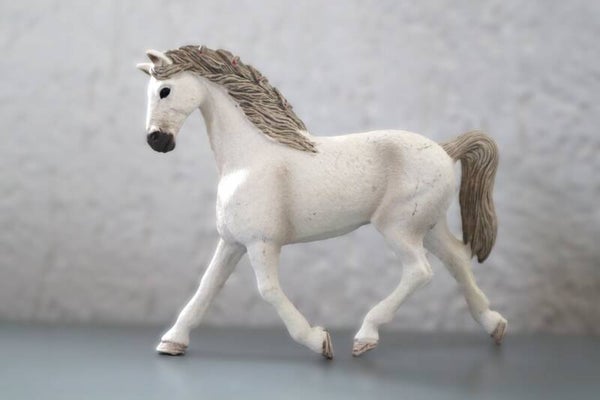 Holstein merrie 13858