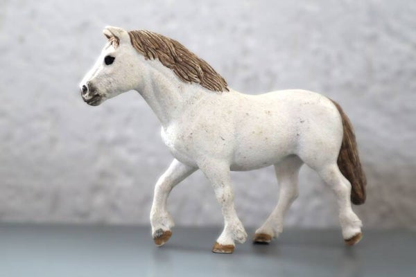 Welsh pony merrie 13872
