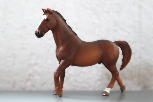 Trakehner hengst uit set 42338