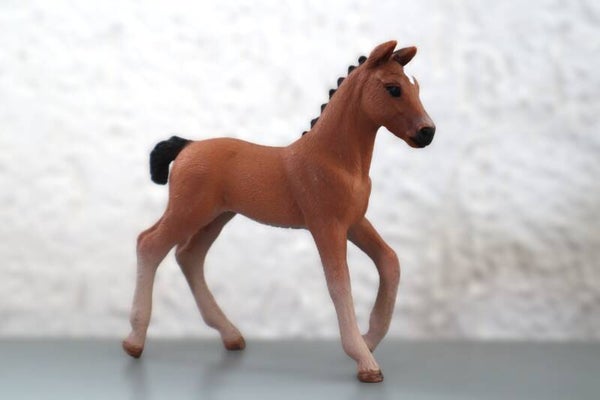 Hannoveraan veulen 13818