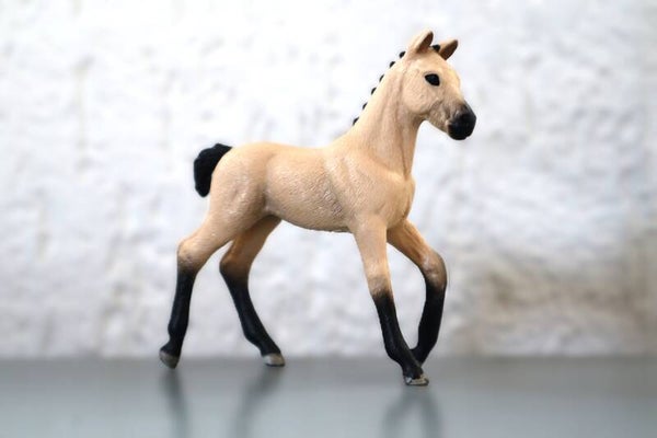 Hannoveraan veulen 13929