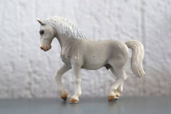 Lipizzaner ruin 13293