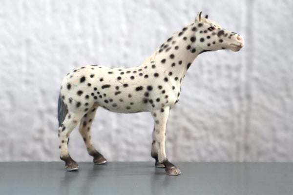 Knabstrupper merrie 13617