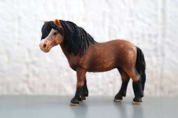 Dartmoor merrie 13651