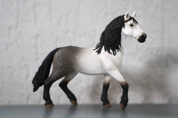 Andalusier hengst 13821