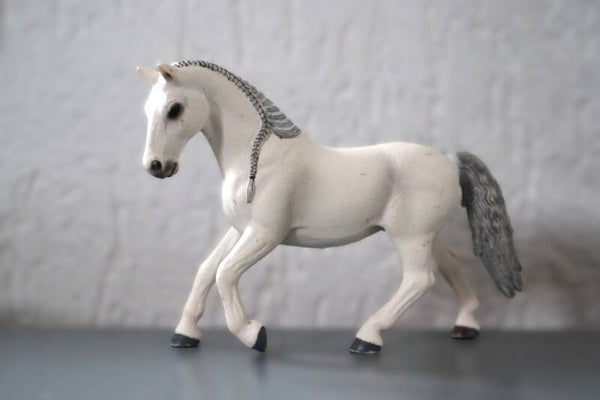 Lipizzaner merrie 13737