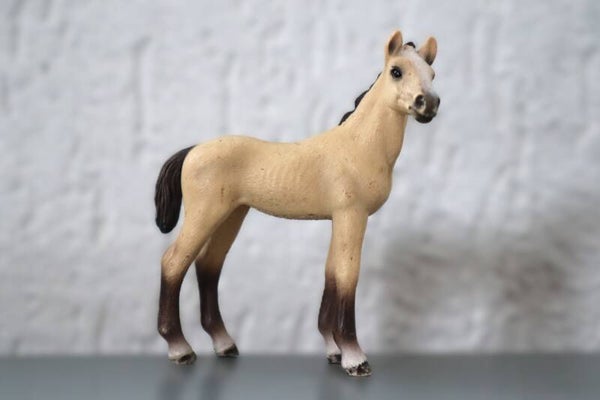 Akhal teke veulen 1302