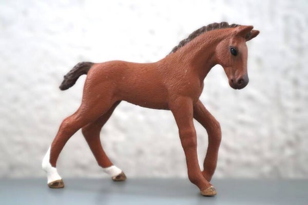 Andalusier veulen uit tijdschrift 82926