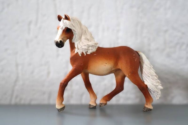 Andalusier merrie uit adventskalender 97051