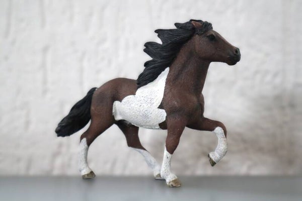 Ijslander hengst 13707