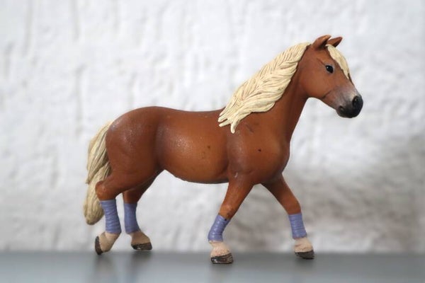 Haflinger merrie uit rijset 42113