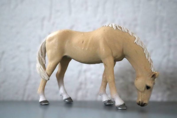 Grazende Akhal Teke merrie 13701