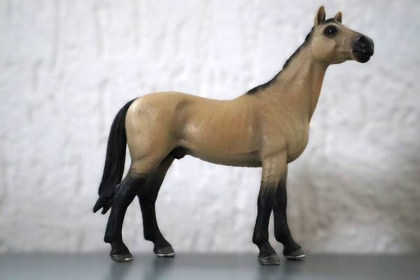 Akhal teke hengst 13690