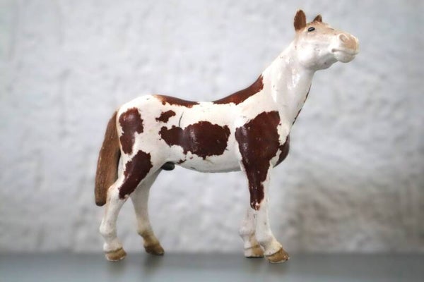 Pinto hengst 13241