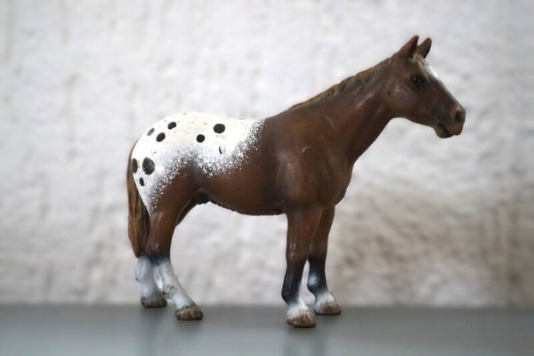 Appaloosa ruin 13721
