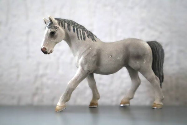 Lipizzaner merrie 13603