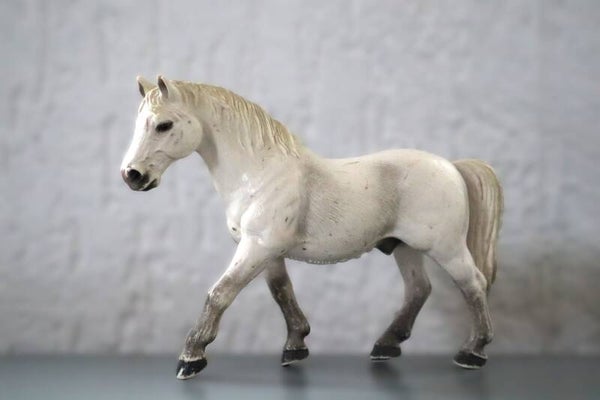 Lipizzaner ruin 13252