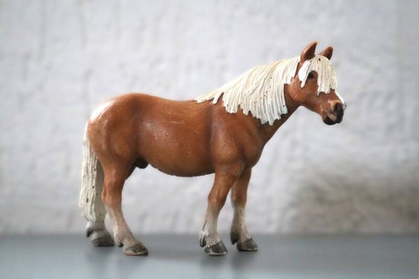 Haflinger ruin 13280