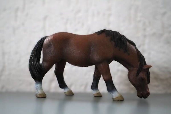 Grazende rijpony
