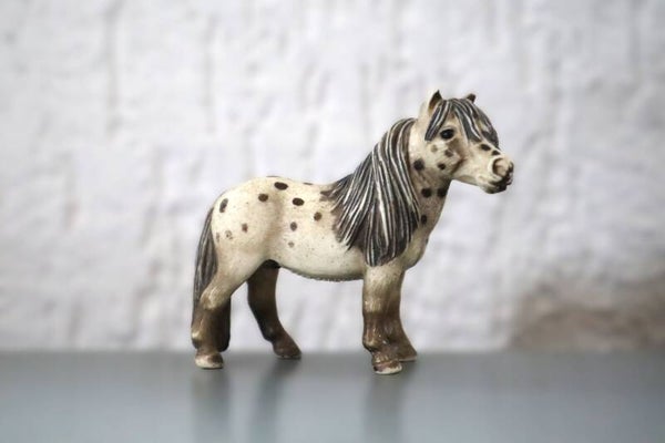 Falabella ruin 13278