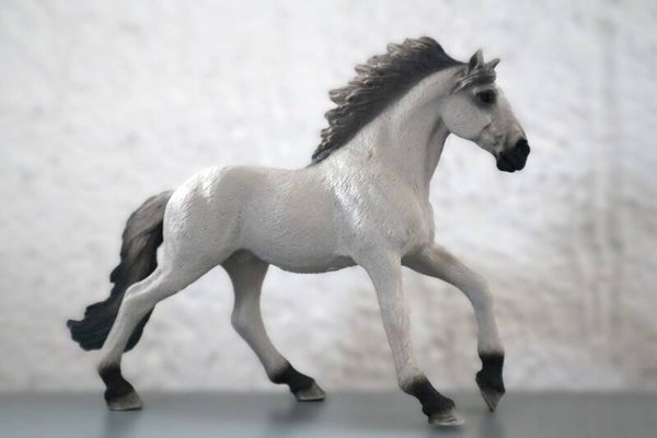 Sorraia mustang hengst 13915