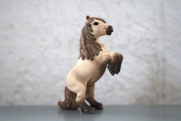 Mini shetlander hengst 13775