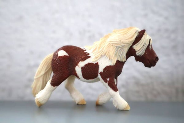 Shetlander merrie 13297