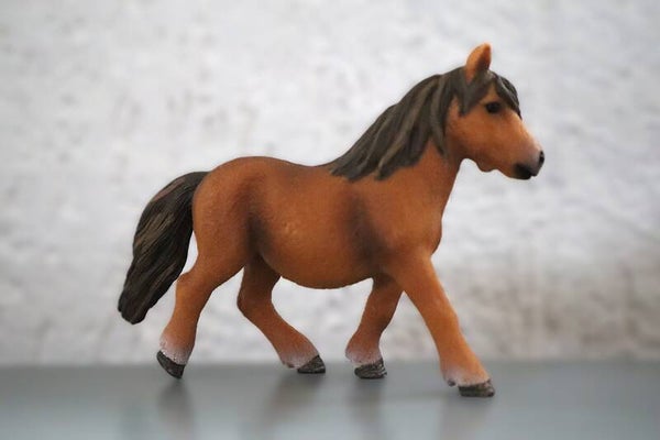 Shetlander merrie 13750