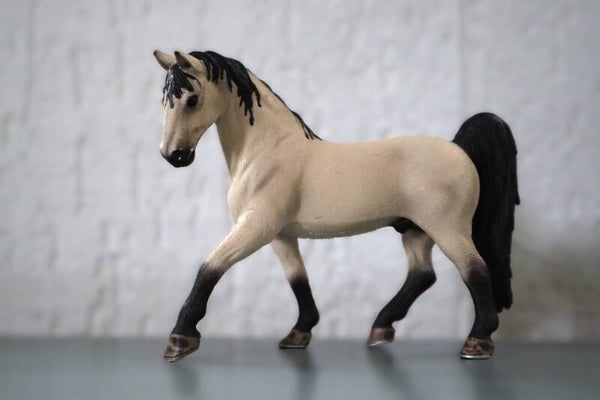 Tennessee walker hengst 13789