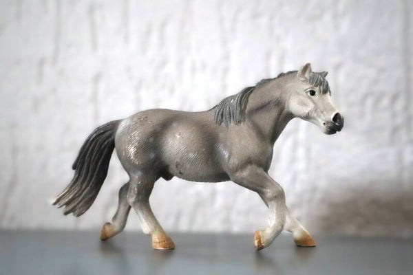 Grijze rijpony 13298