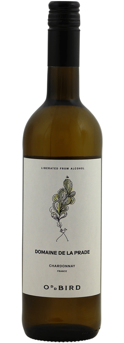 Kolonne Null Edition Diez Siglos alkoholfreier Verdejo-Weißwein in einer Flasche mit modernem Etikett.