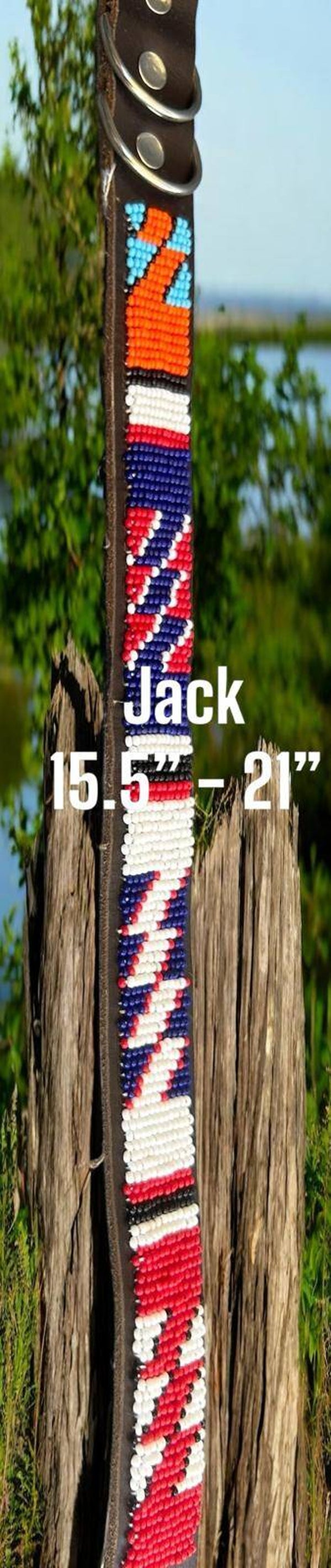 Jack Dog Collar 15.5 - 21 inches