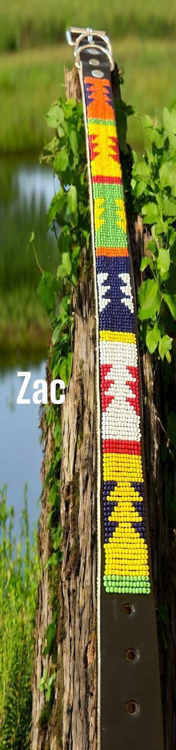 Zac Dog Collar 18" - 23"