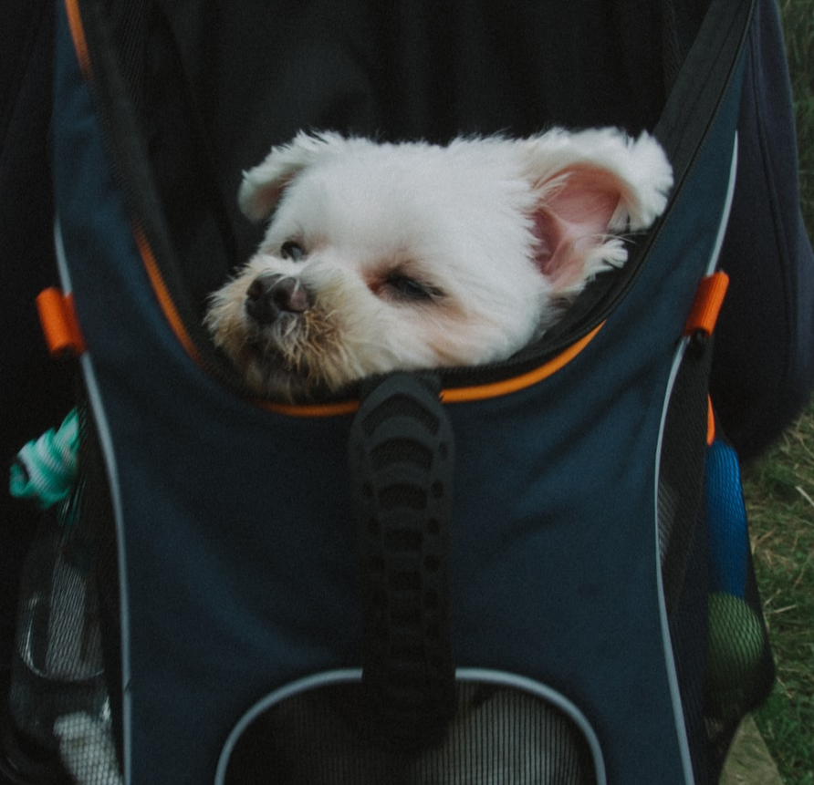 De reddende rugzak, een Coronkel, een kort verhaal uit de reeks korte verhalen in Corona-tijd, mijn Coronkels.