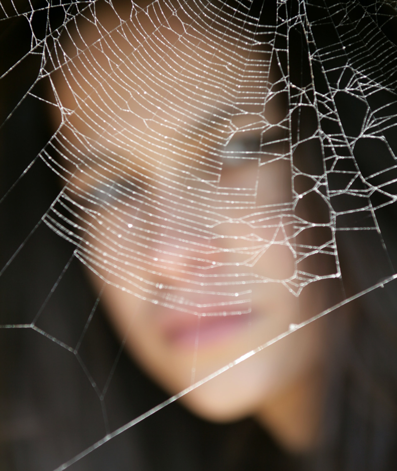 De spin in het web, een Coronkel, een kort verhaal uit de reeks korte verhalen in Corona-tijd, mijn Coronkels.