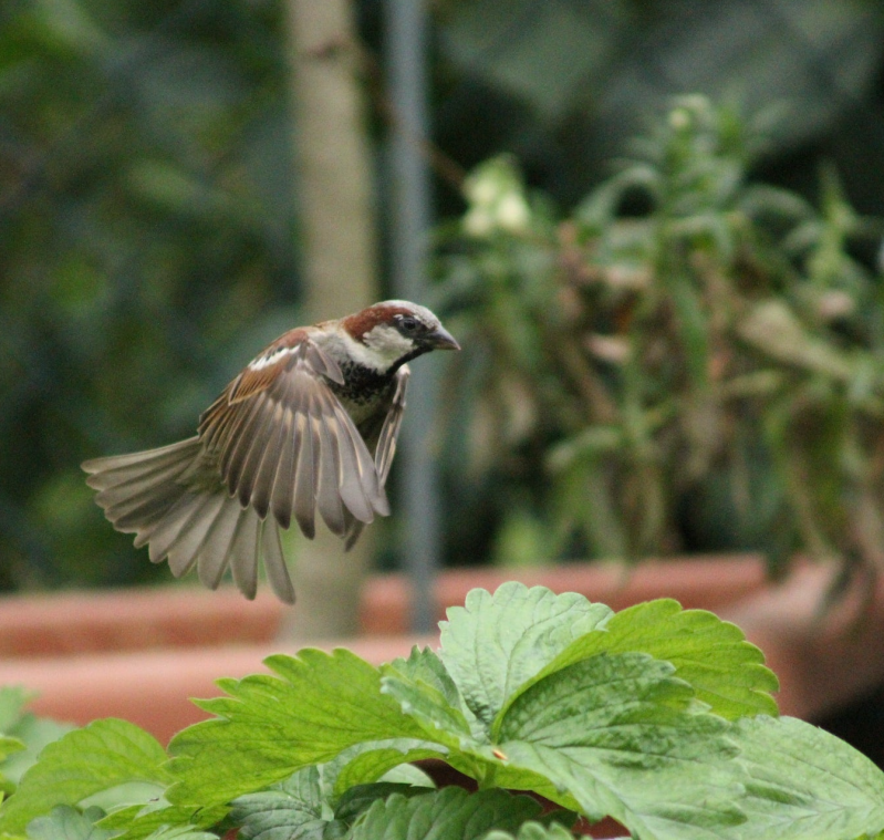 Bucket-list, kort verhaal