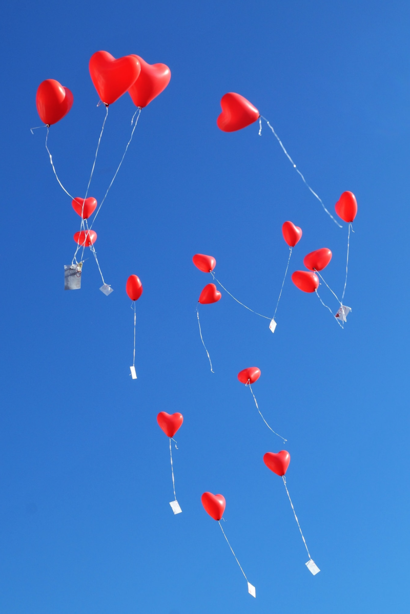 Top van de wereld, een kort verhaal uit de serie Coronkels, korte verhalen in Corona-tijd.