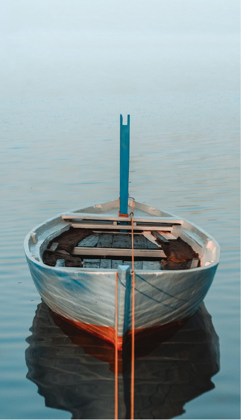Aan de lijn, een kort verhaal uit de serie Coronkels, korte verhalen in Corona-tijd.