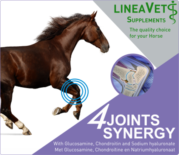 4 joints synergy - Linea Unika - Gewrichtssupplement voor paarden en honden