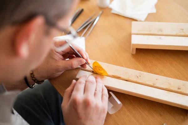 Workshop : Vlinders Prepareren : "De basis" - Donderdag 10/12/2026 - 19u00 - Mechelen