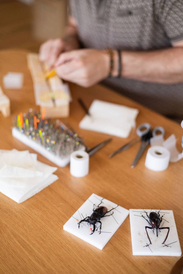 Workshop Kevers Prepareren : " Miniatuur Kevers" - Dinsdag 24/11/2026 - 19u - Mechelen