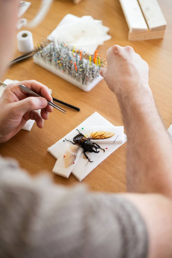 Workshop Kevers Prepareren : "De basis" - Dinsdag 27/10/2026 - 19u - Westerlo